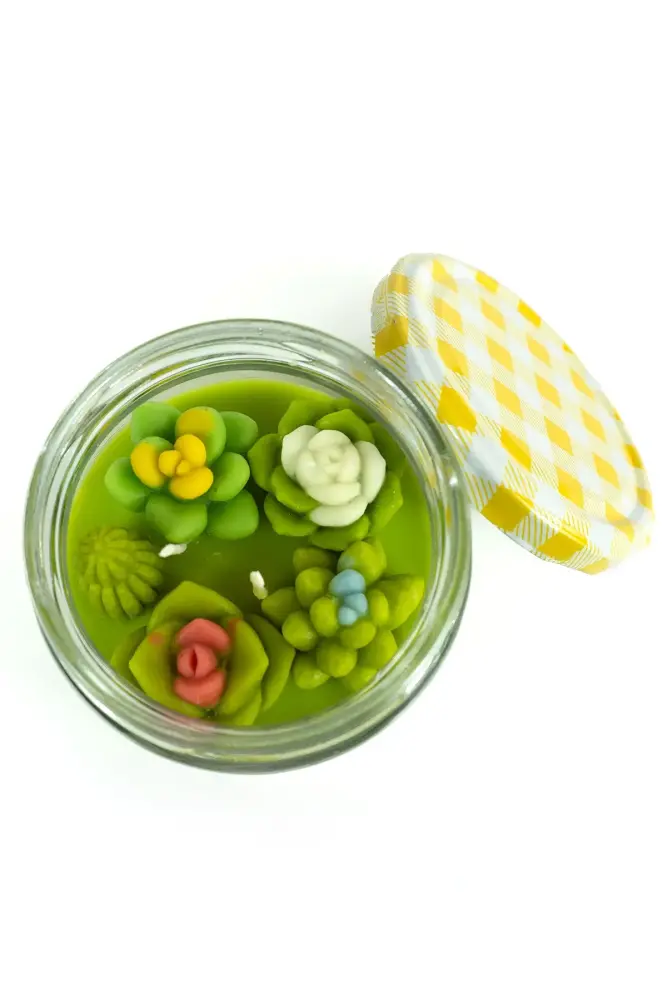 HERBAL HOME Sukulent Mini Bahçeli Mum 220 GR - 6