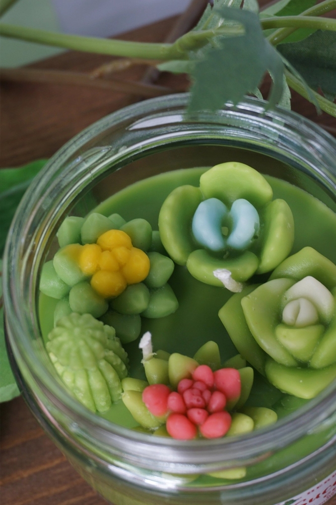 HERBAL HOME Sukulent Mini Garden Candle 220 GR - 2