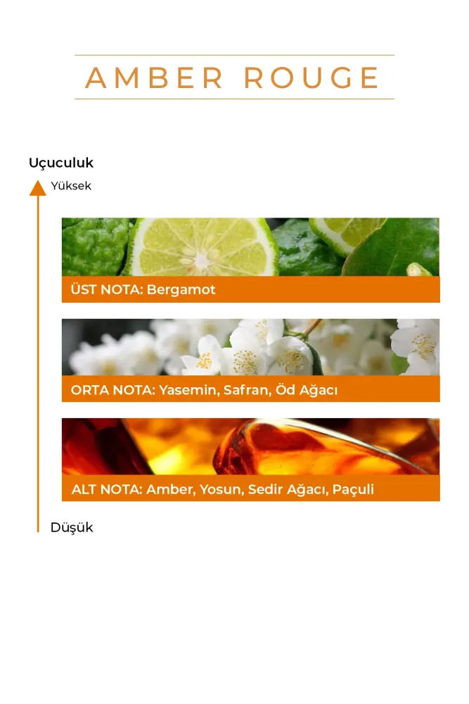 PROCSIN Amber Rouge Parfüm 50 ML - 4
