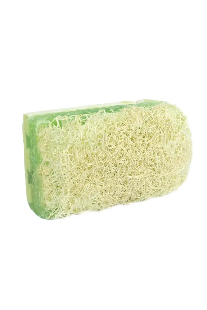 PROCSIN Herbal Home Aloe Vera Soap With Pumpkin Fiber 100 GR - 3