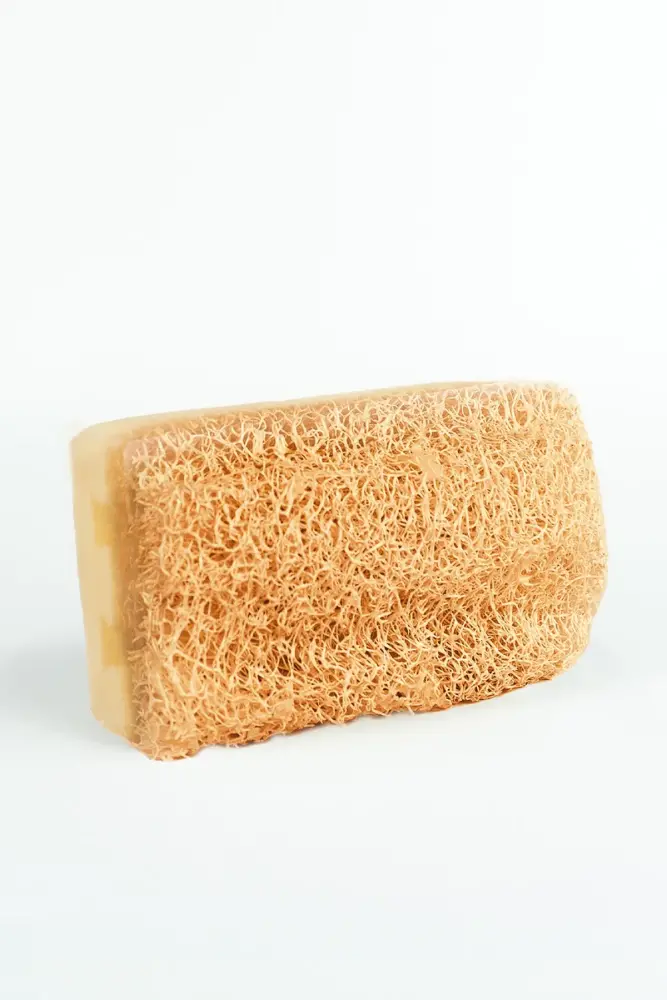 PROCSIN Herbal Home Pumpkin Fiber Donkey Milk Honey Soap 100 GR - 3