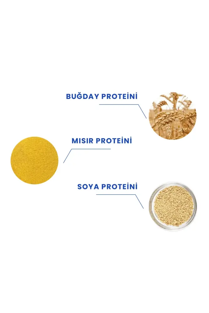 PROCSIN Magic Mix Kırılma Önleyici + Elektriklenme Karşıtı 2 Fazlı Saç Kondisyoneri 150ML - 3