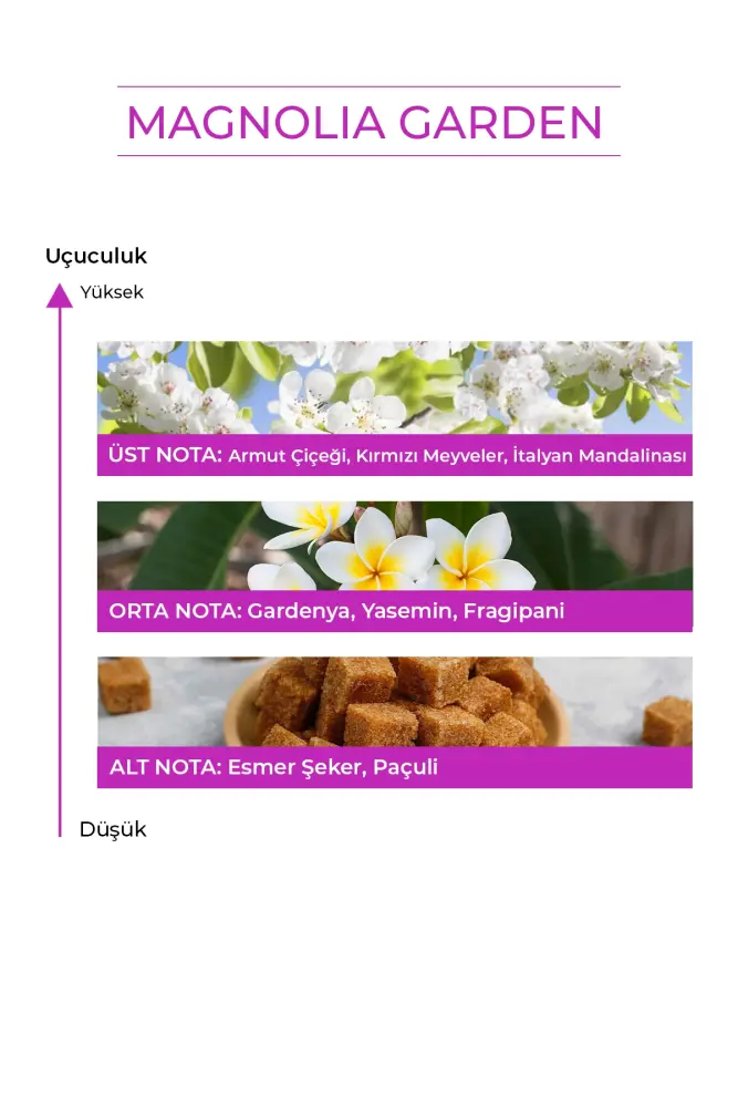 PROCSIN Magnolia Garden Parfüm 50 ML - 3
